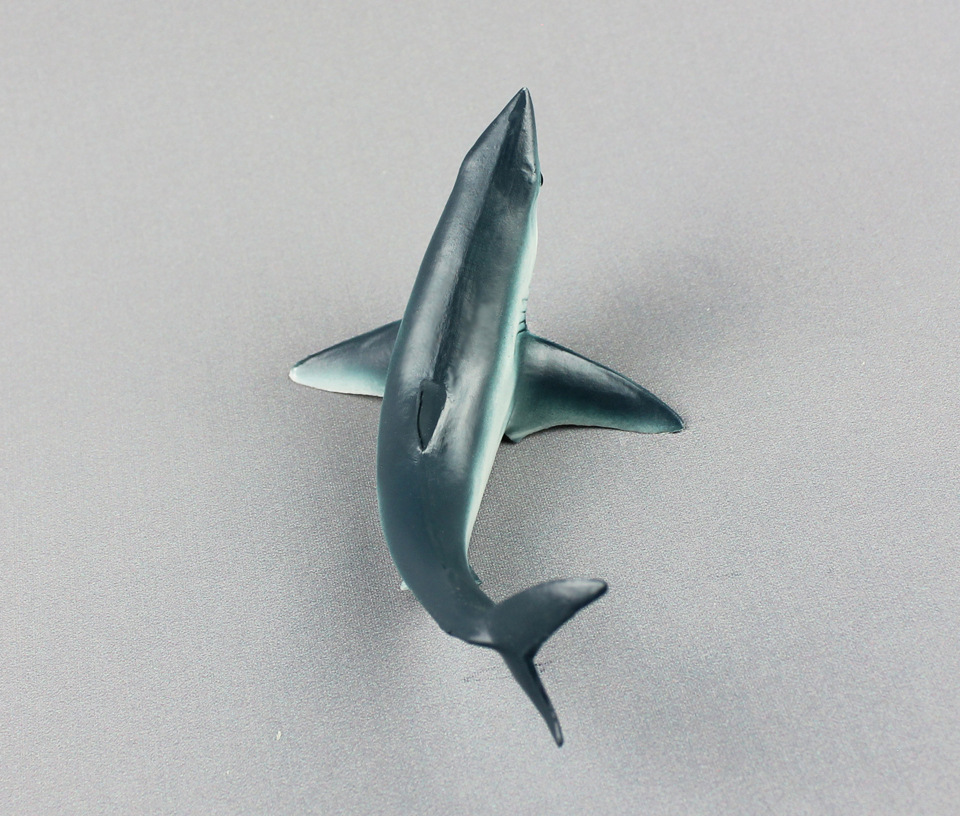 海洋生物模型灰鲭鲨儿童仿真静态鲨鱼塑胶实心动物玩具外贸货源