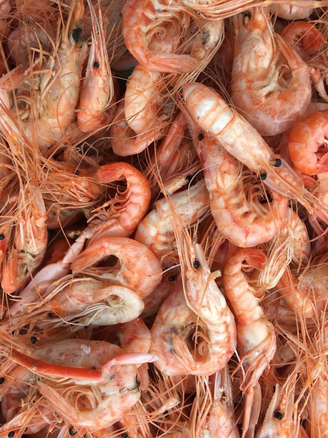 红虾 熟红虾 大脚黄蜂 中华管鞭虾 山东滨州沾化冯家海产品批发