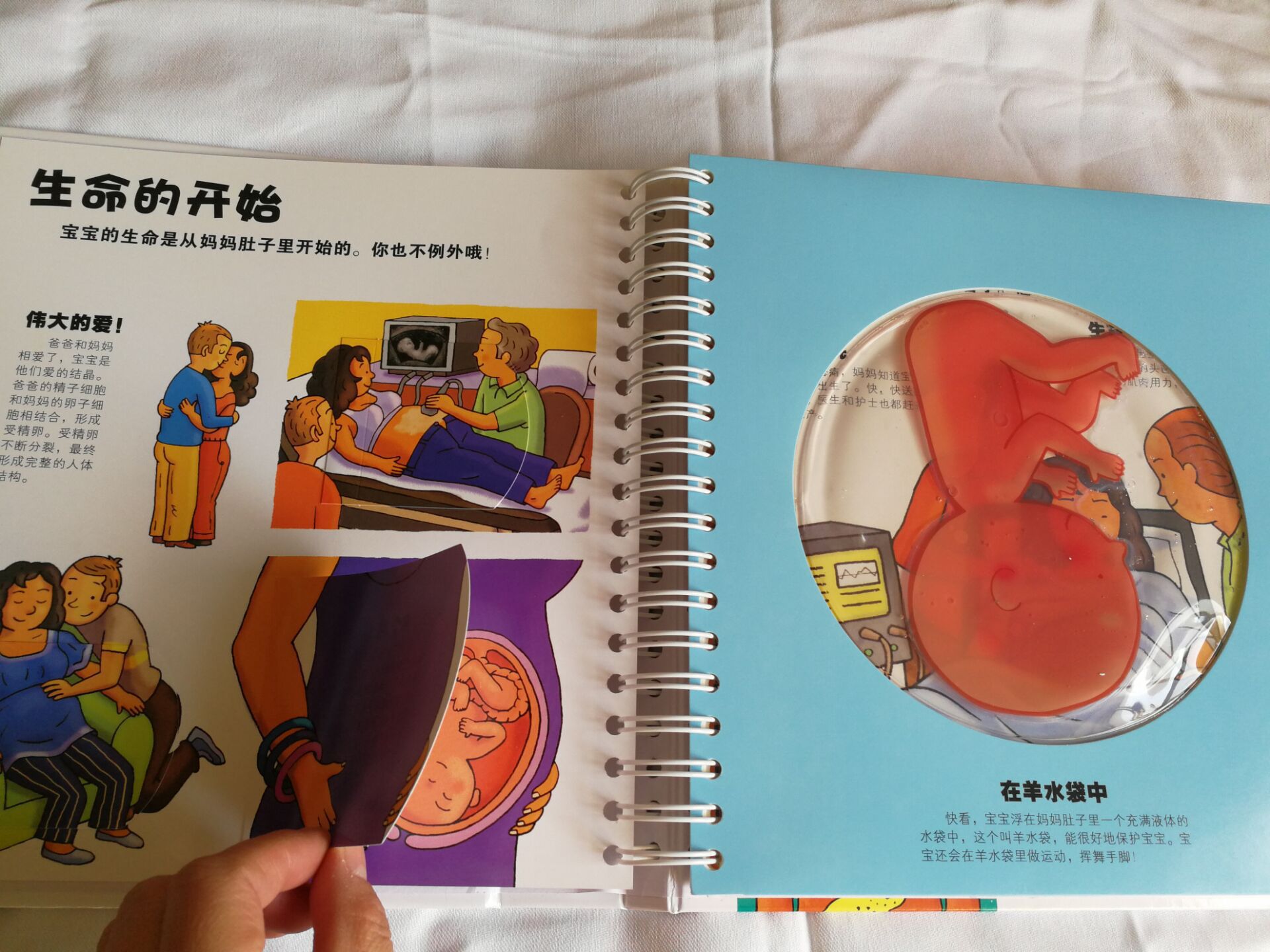 我们的身体 乐乐趣立体书 3d高端童书触摸书儿童早教 翻翻书绘本
