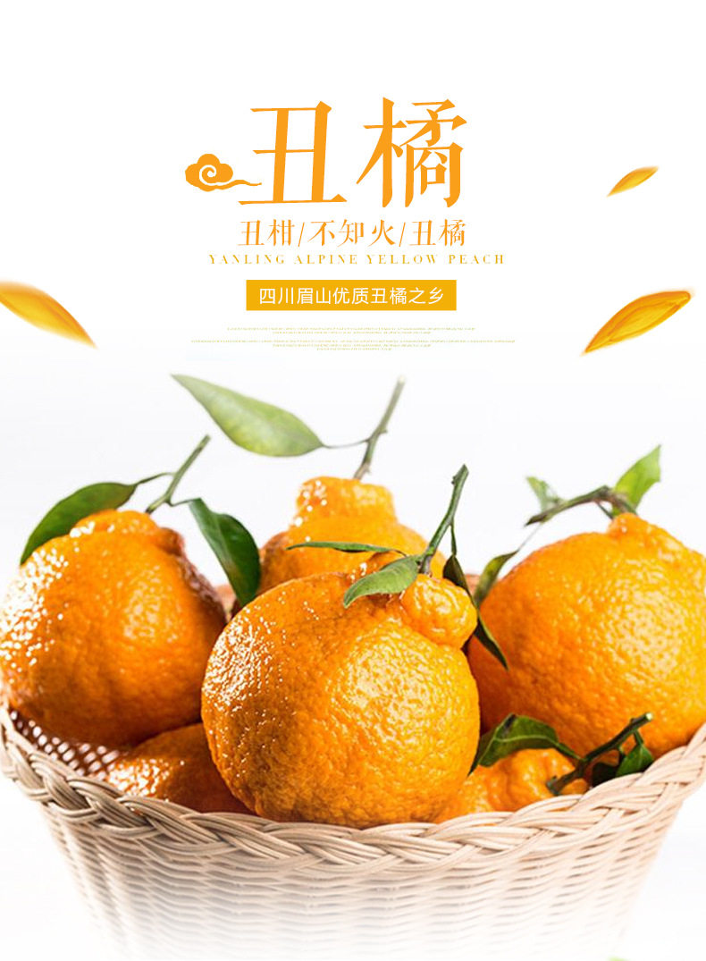 供应四川丑橘不知火丑柑四川橘子新鲜水果现摘发货孕妇水果