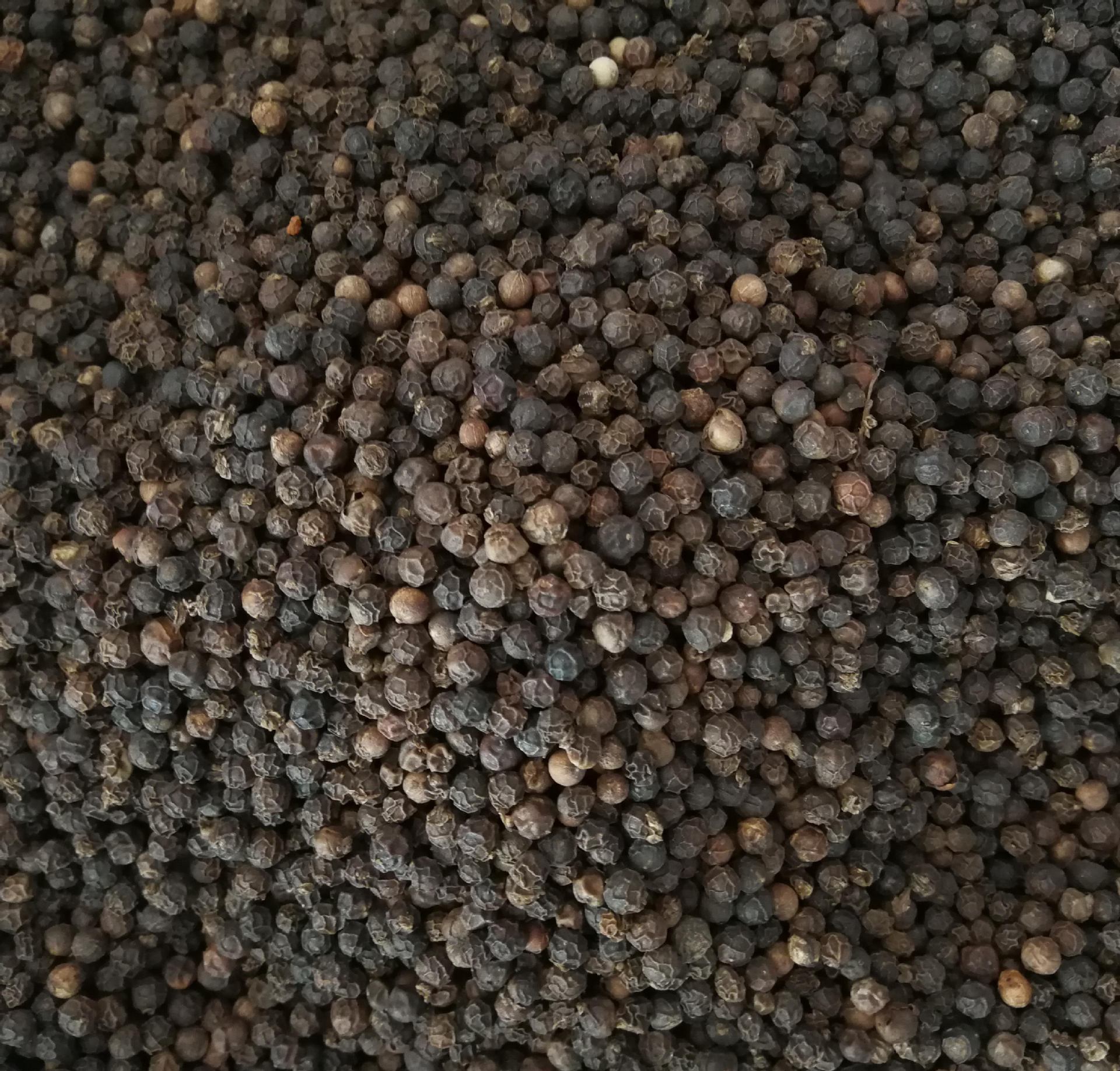 供应黑胡椒 黑胡椒粒 胡椒粒 胡椒 量大从优 另有白胡椒粒出售