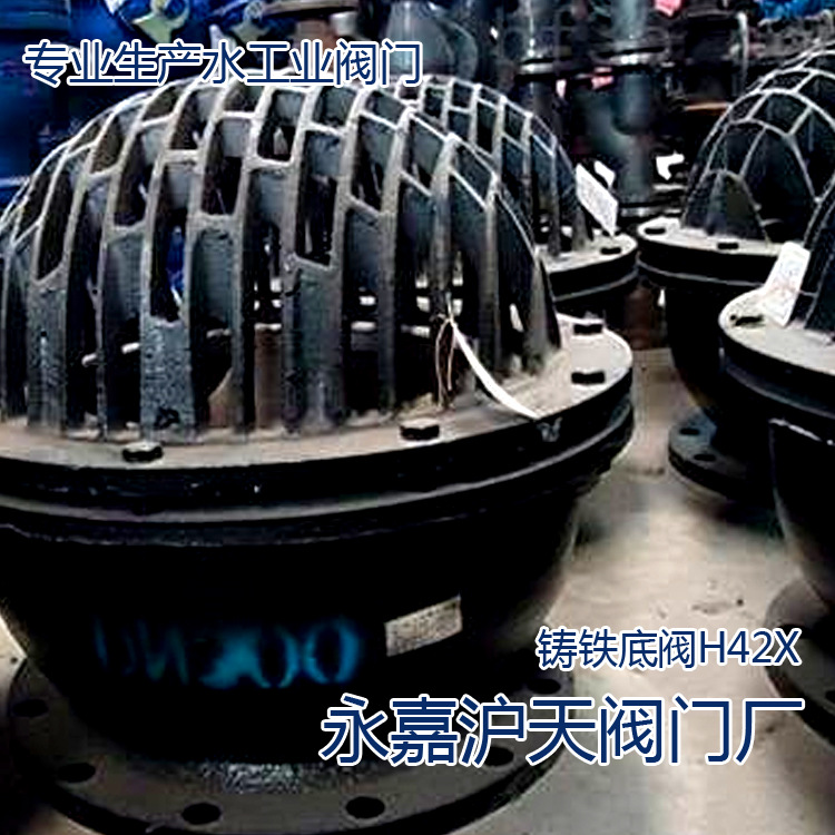 铸铁底阀h42x-6  dn350厂家h42x 铸铁底阀水泵底阀价格_厂家_图片