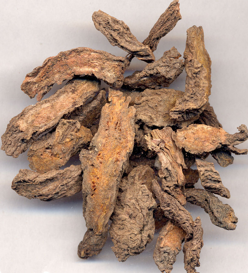 大戟提取物/京大戟提取物 10:1 粉/浓缩粉/浸膏 植物提取物