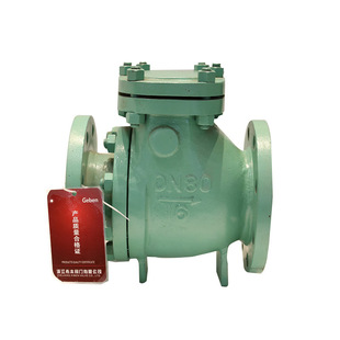 h44tc 陶瓷旋启式止回阀 304不锈钢旋启式止回阀 特殊定制专家