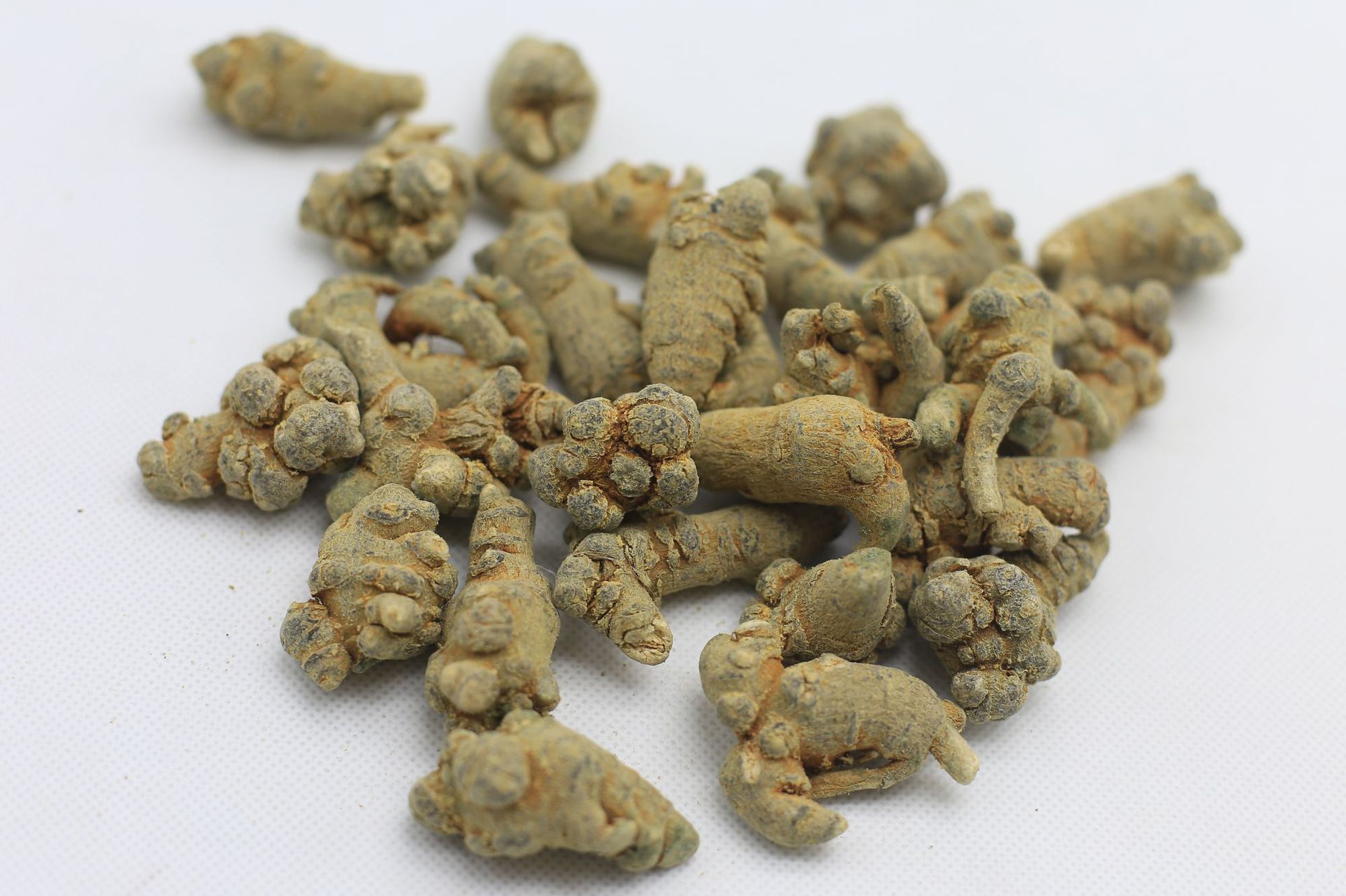 供应三七批发散装批发量大从优滋补佳品