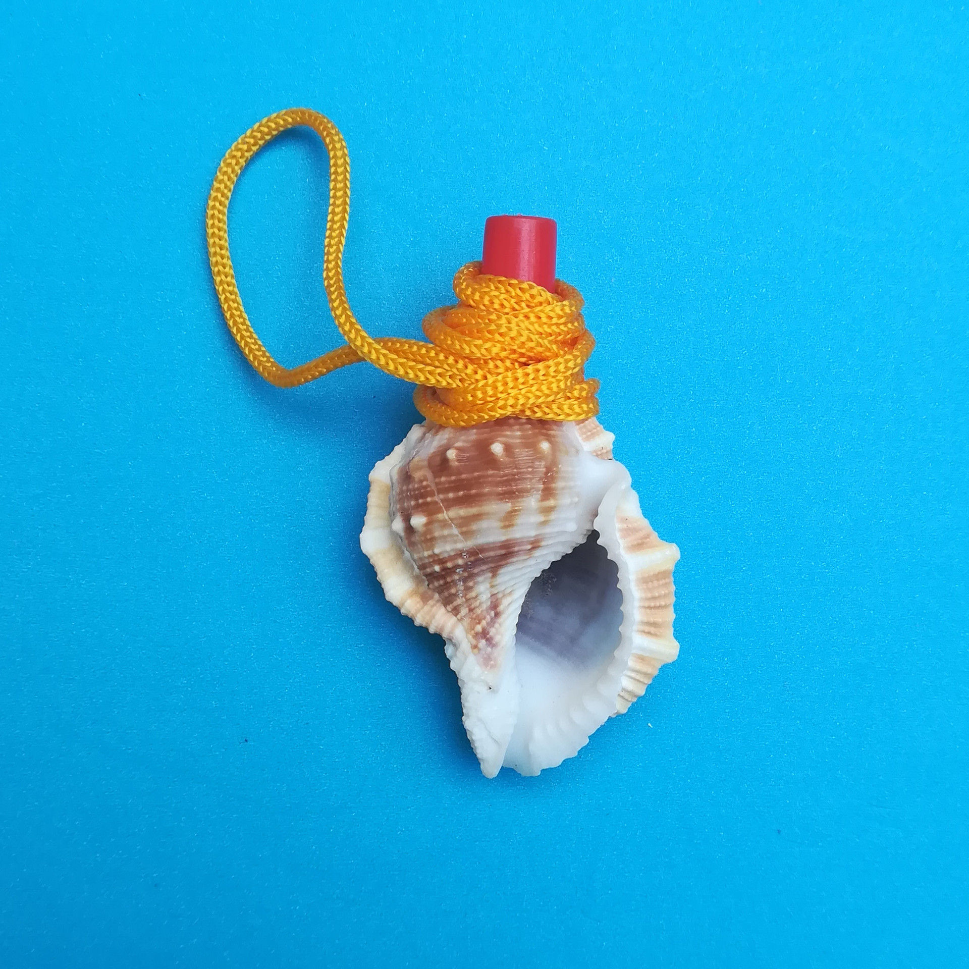 批发小海螺哨号角 可吹响海螺口哨 儿童玩具 夜市摆摊货源