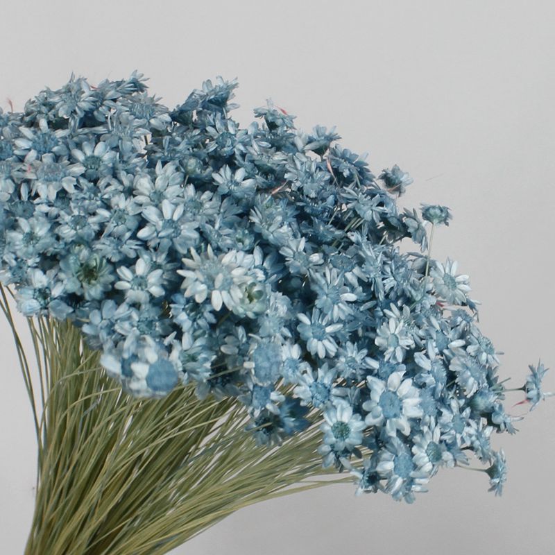 小星花批发花束diy迷你天然小星花小雏菊礼盒花材进口级小星花