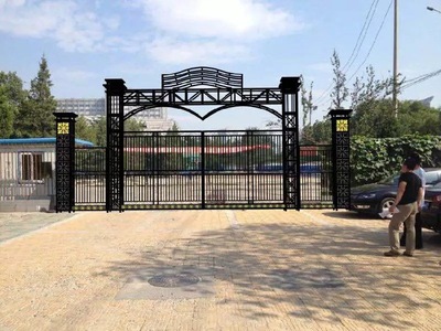 企业单位乡村坟口艺术欧式铁艺大门款式接受定做