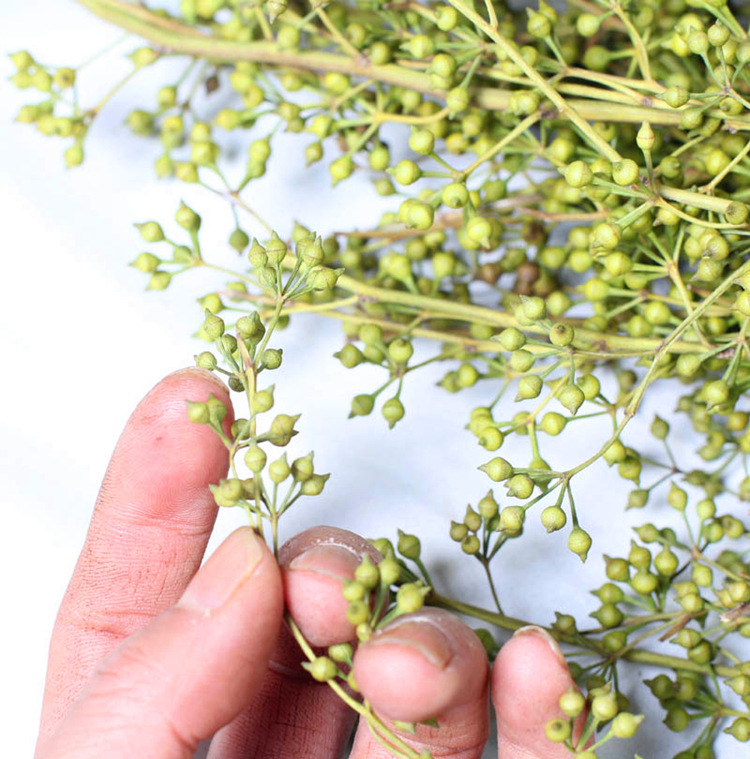 云南永生花干花小米果 家居办公装饰花材 自然真花花束厂家批发