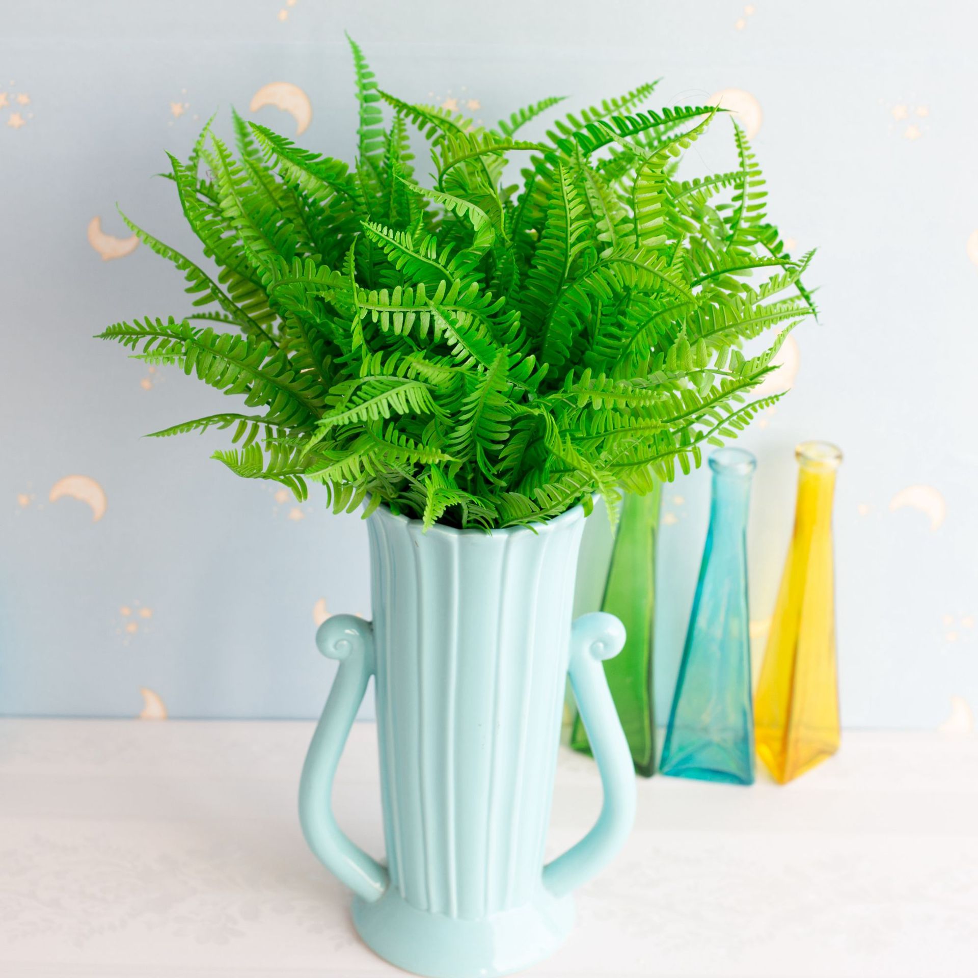 喷色波斯草 排草蕨草室内盆栽 波斯草绿草植物墙配材