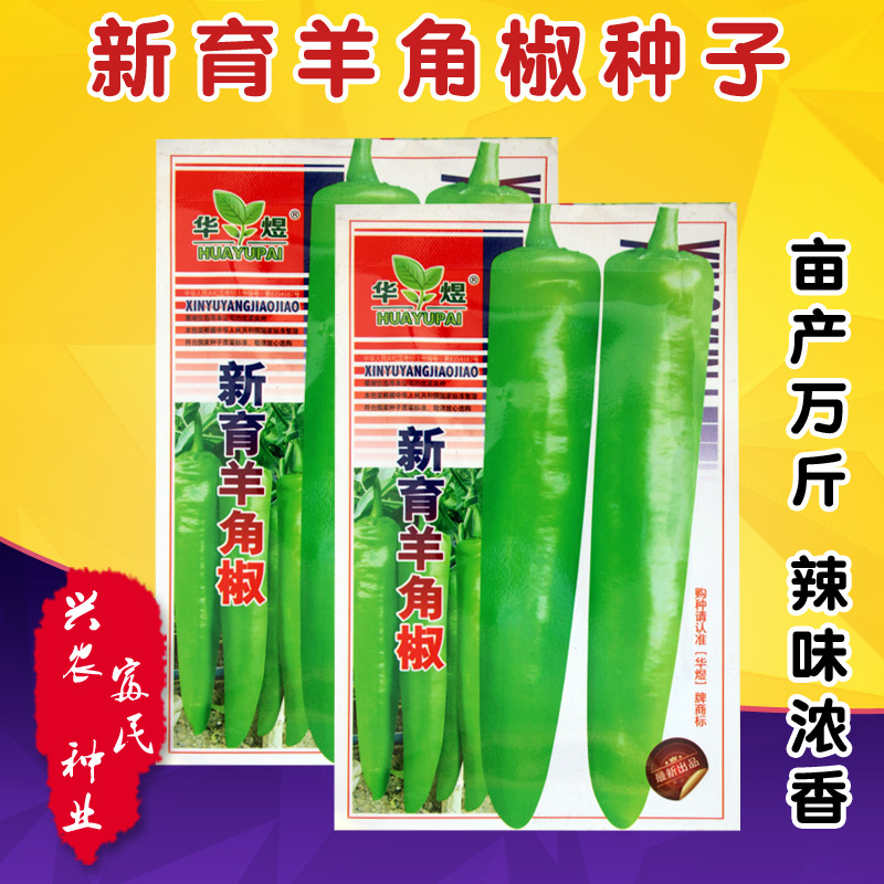 辣椒种子 大田菜园高产易种早中熟辣味浓羊角辣椒种子 蔬菜种子