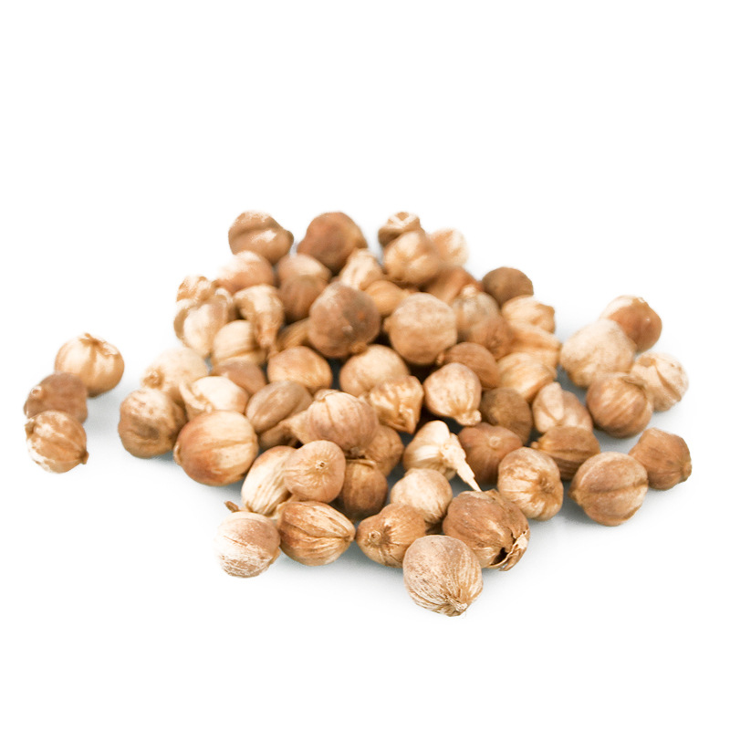 白豆蔻香料大全白扣 白寇卤料调 农副产品初加工