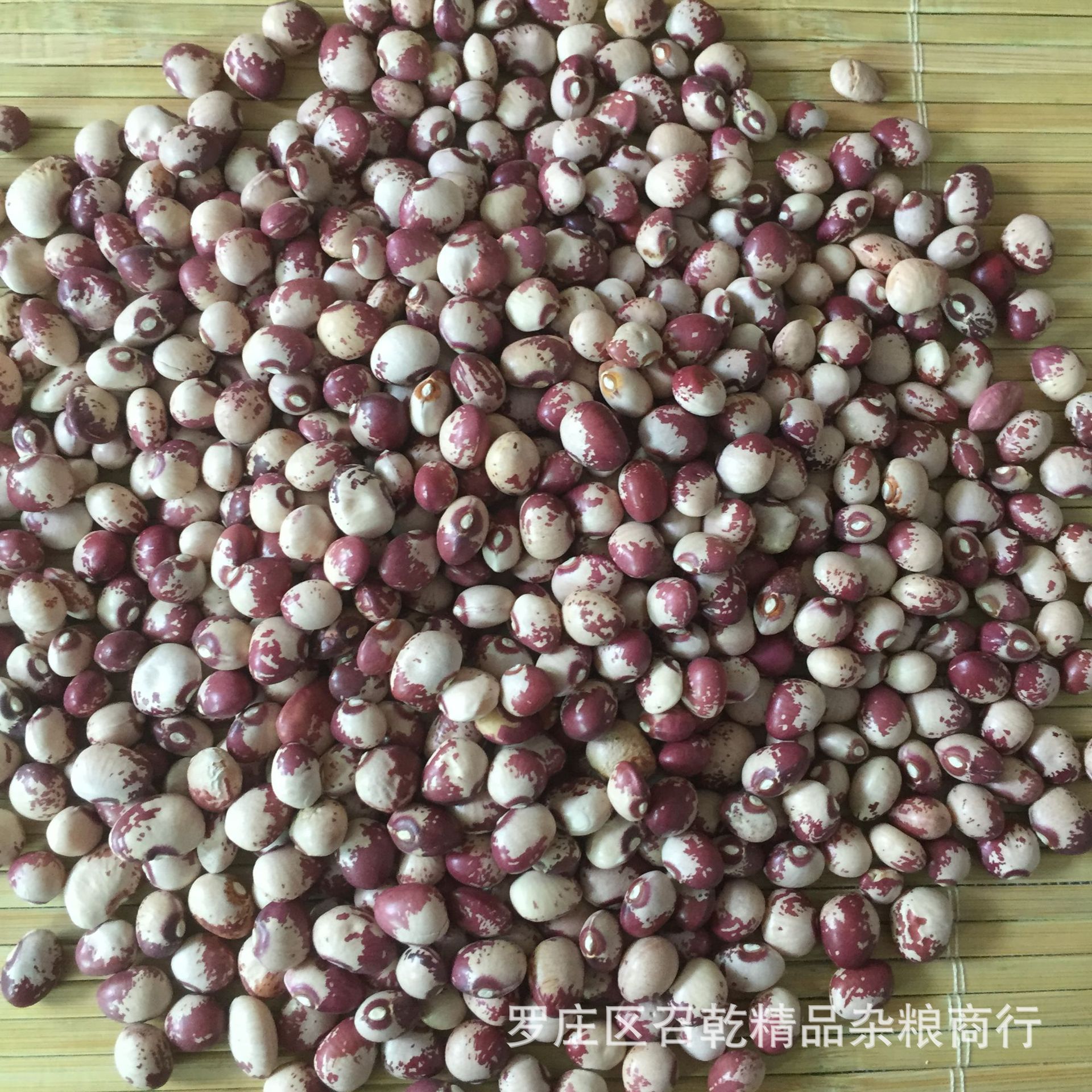 批发优选奶花豆云南奶花豆农家自种小花豆圆花豆五谷杂粮袋装25kg