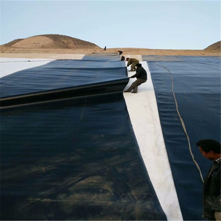 土工膜地基路基隔水水库堤坝鱼塘化学反应池灰堆填埋场hdpe防渗膜