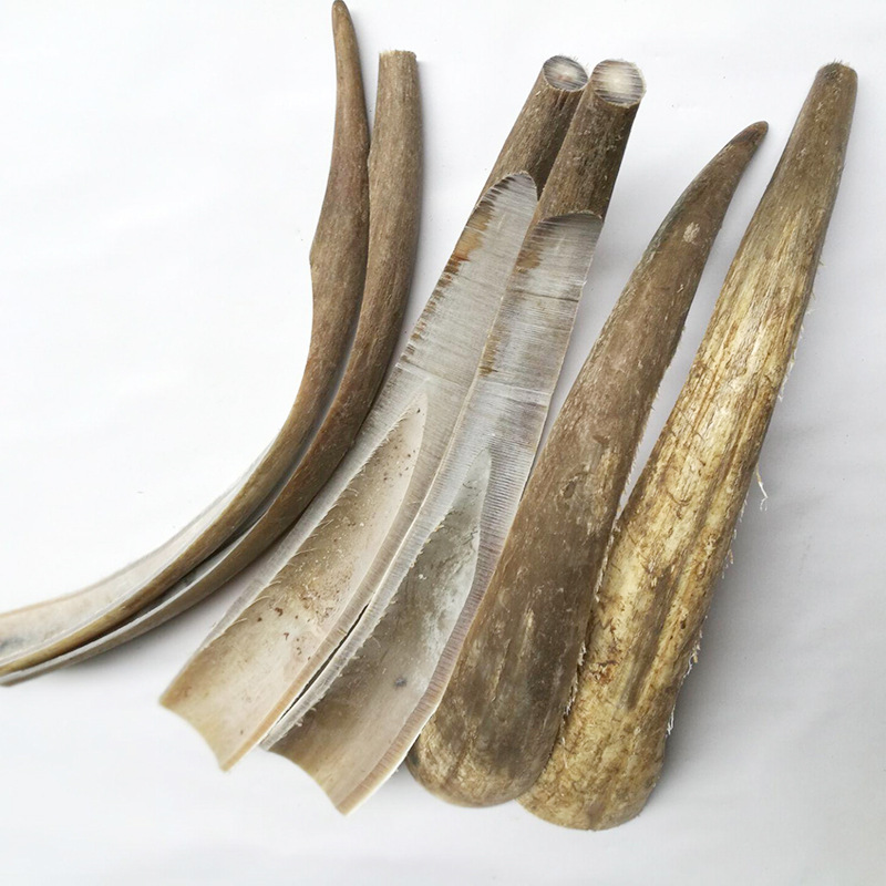 天然牦牛牛角弓箭材料整条大牛角 天然直接切割 牦牛角整条牛角