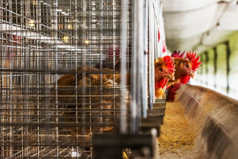 阿里巴巴商友圈