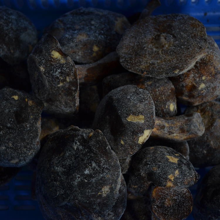 云南特产食用黑牛肝菌 鲜冻货云南高山黑牛肝菌 产地批发