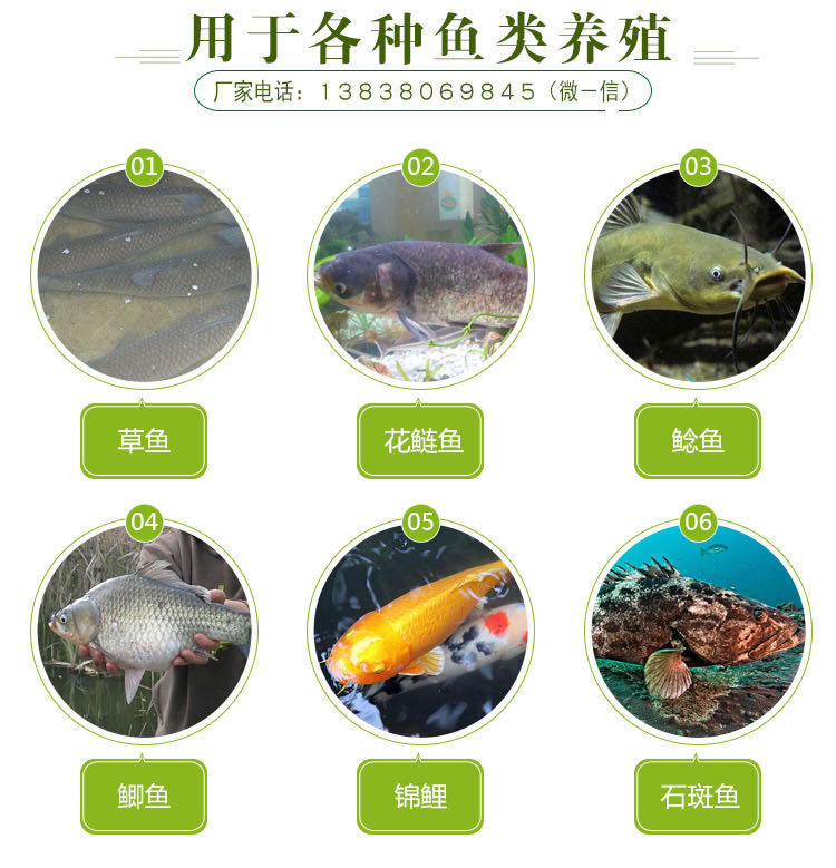 养鱼em菌适用范围