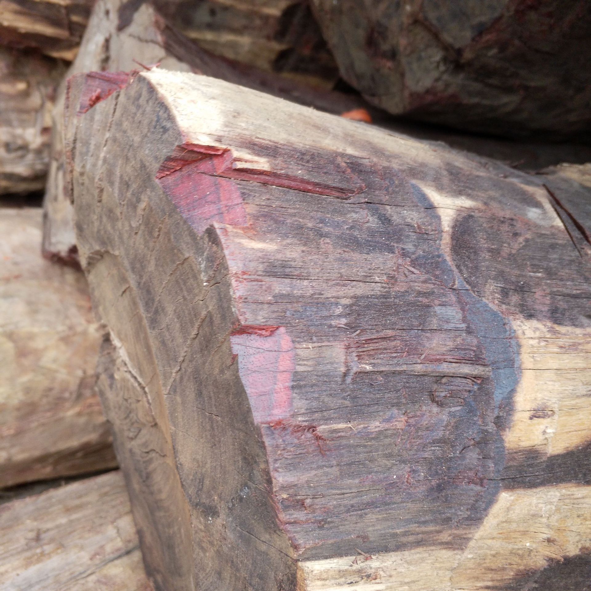 张家港原木 精品 赞比亚 小叶紫檀 现货供应 价格优惠