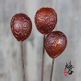 铁树果 铁树籽 心果  干果 家居软装干花批发