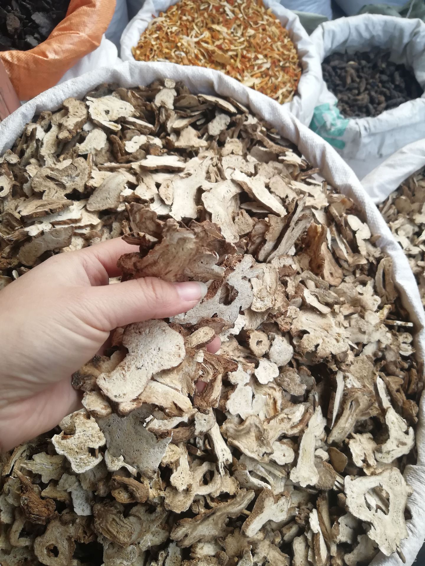 批发供应白术 白术片当季新货 大货供应 量大从优白术承接大货