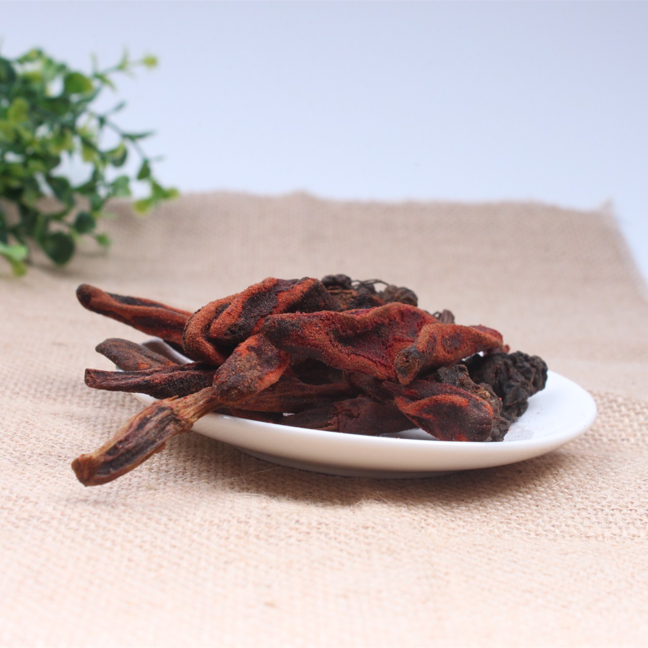 不老草优质量泡酒料云南顶天柱草苁蓉草量大从优批发中药材回春草