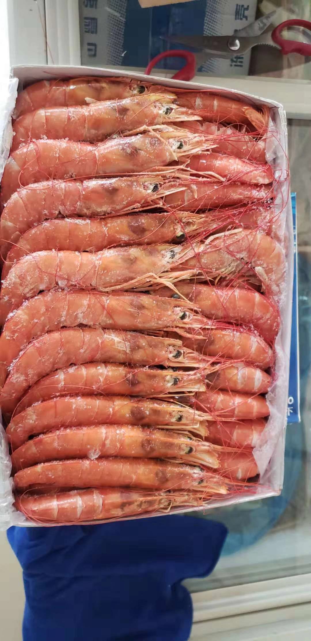 新货阿根廷红虾l2号 大红虾海鲜冷冻虾 4斤一盒40至60只_商城_北京祥