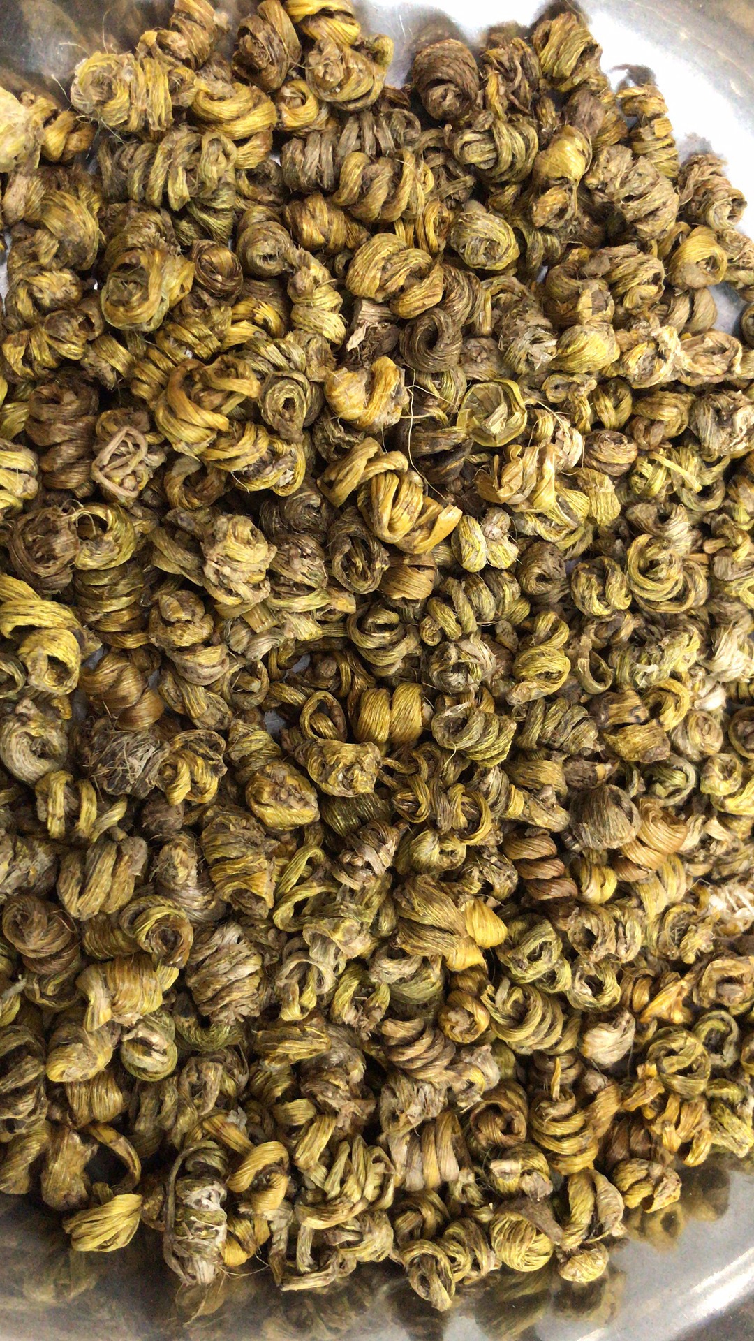 云南水草石斛 水工采摘石斛量大可议价 传统滋补品中药材现货批发