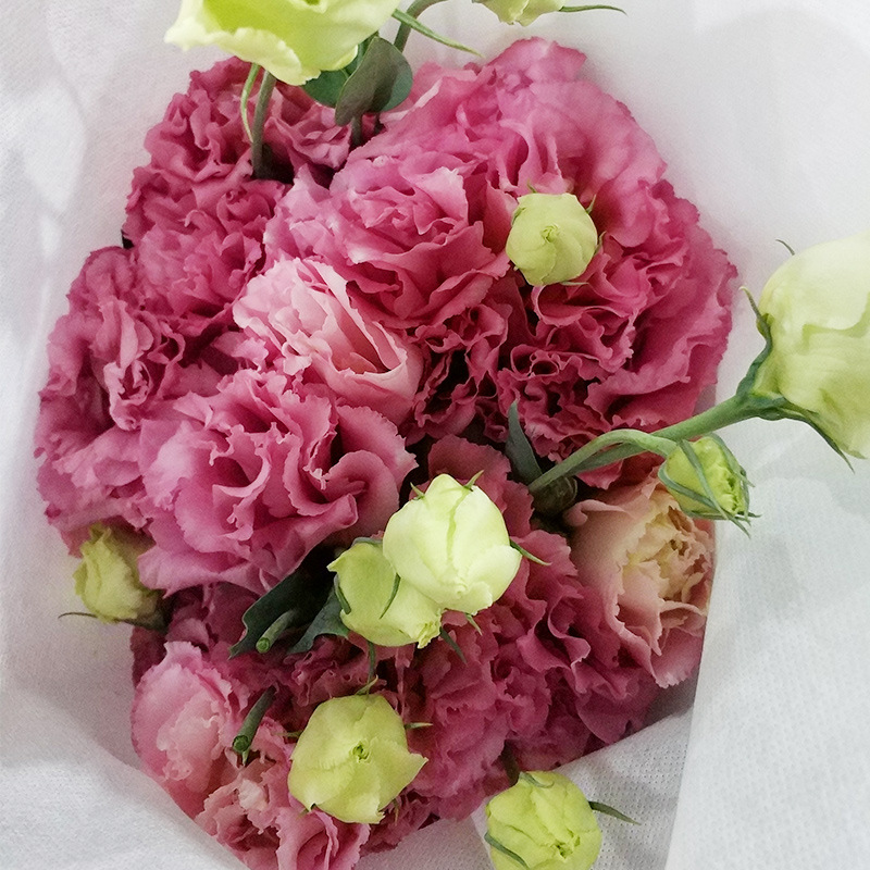 【洋桔梗】云南昆明鲜花配花配草龙胆草批发 斗南基地直发-阿里巴巴