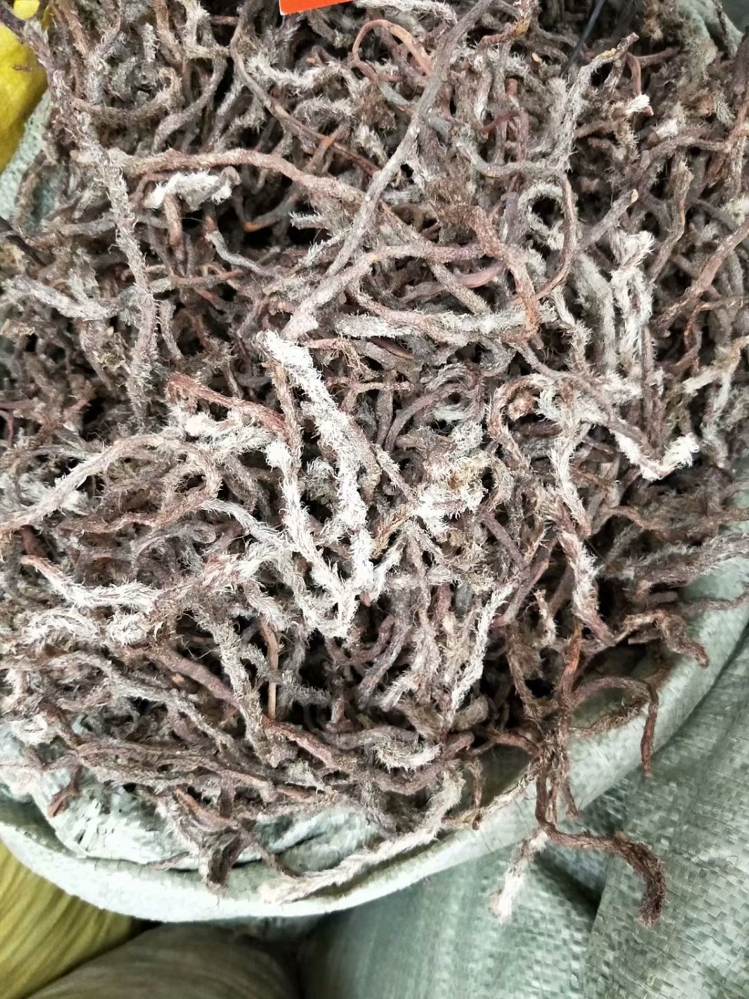 中药材白毛蛇阴石蕨白毛骨碎补每件500克