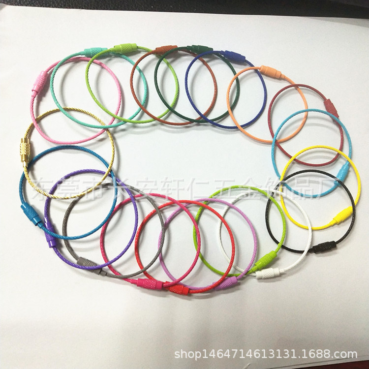 In Stock Wholesale Steel Wire Rope Ring Keychain Stainless Steel Color Coated Steel Traveller Wire Lock Large Quantity Bargaining