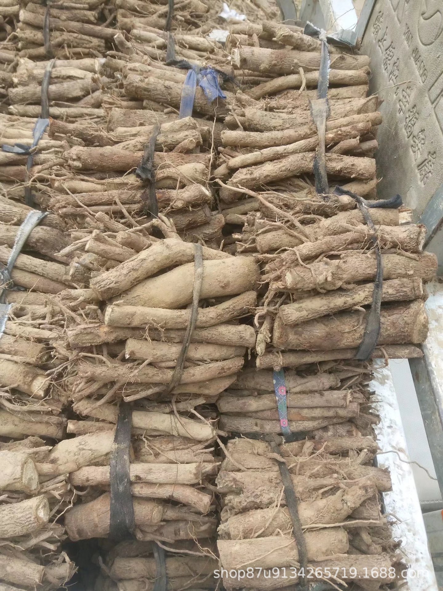 桐树种根 现挖现卖 快速发货泡桐树种根 泡桐苗根