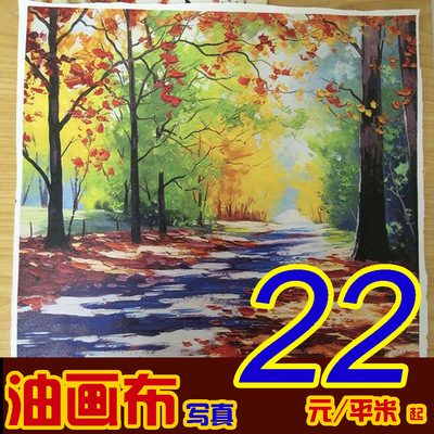 写真油画布化纤布无纺布写真喷绘艺术海报无框挂画丝绢布白画布