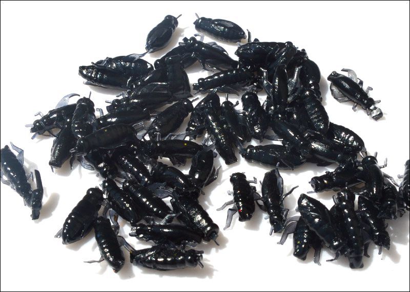 畅钓路亚软饵鱼饵假饵仿真蚂蚱蛆虫软饵黑色蟋蟀厂家直销昆虫饵