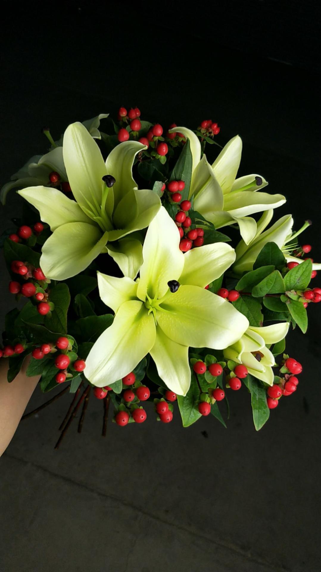 云南昆明鲜花批基地黄色香水百合黄天霸花店用花家庭插花航空包邮