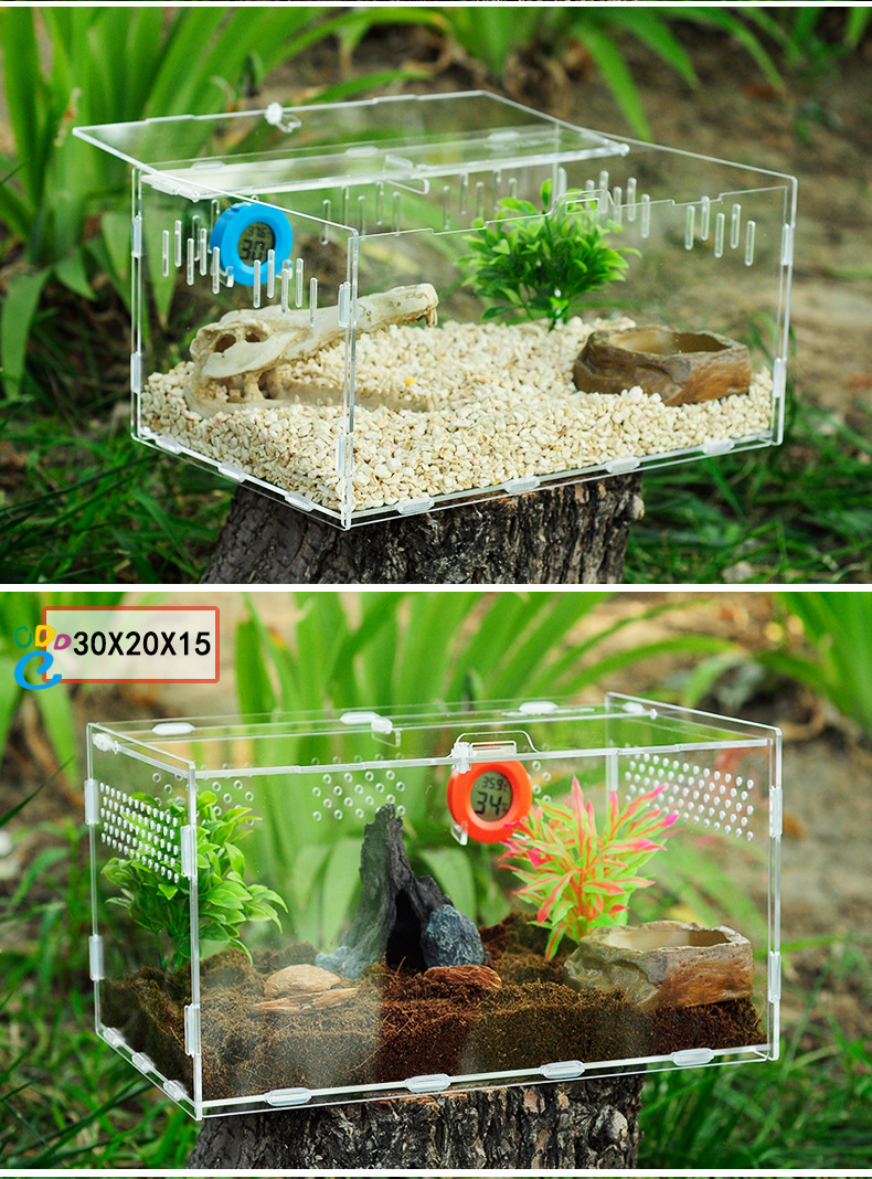 亚克力饲养箱蜘蛛饲养盒爬宠爬虫饲养箱厂家直销宠物用品oem