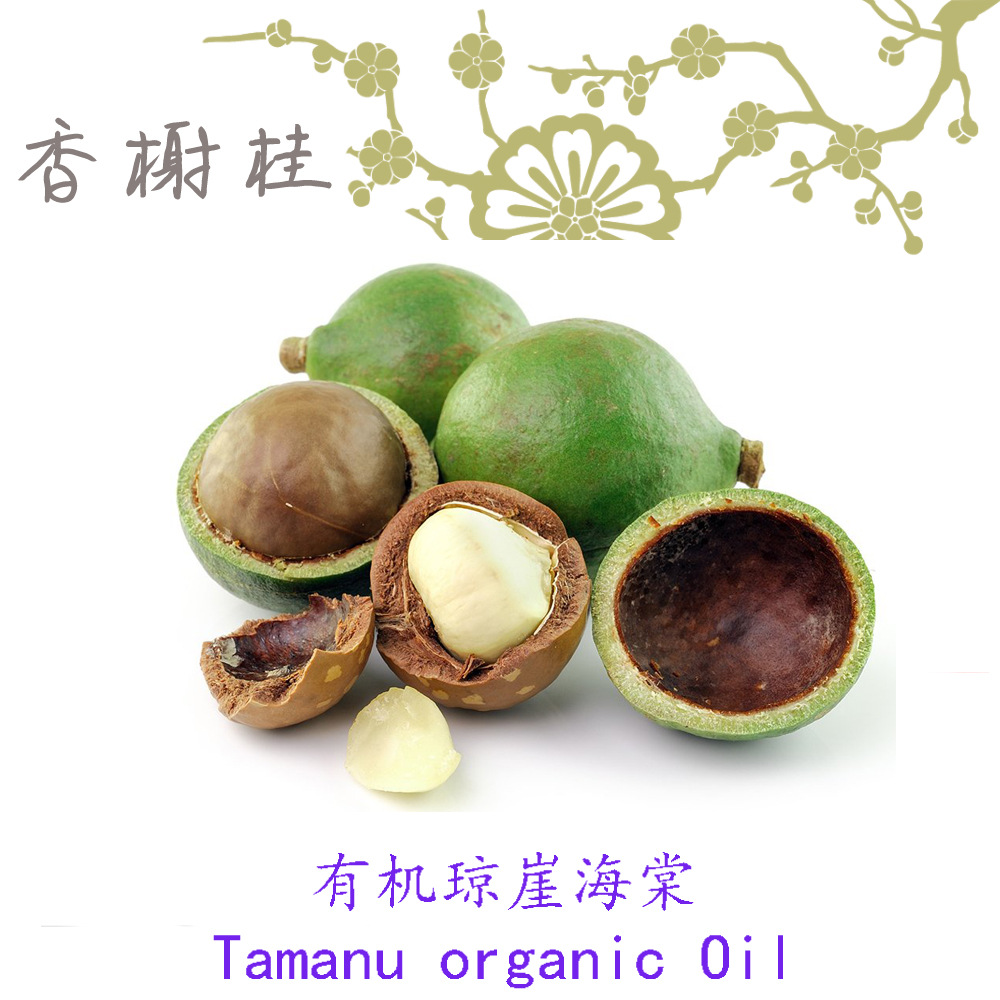 马达加斯加进口有机琼崖海棠油 tamanu organic oil 1kg起订