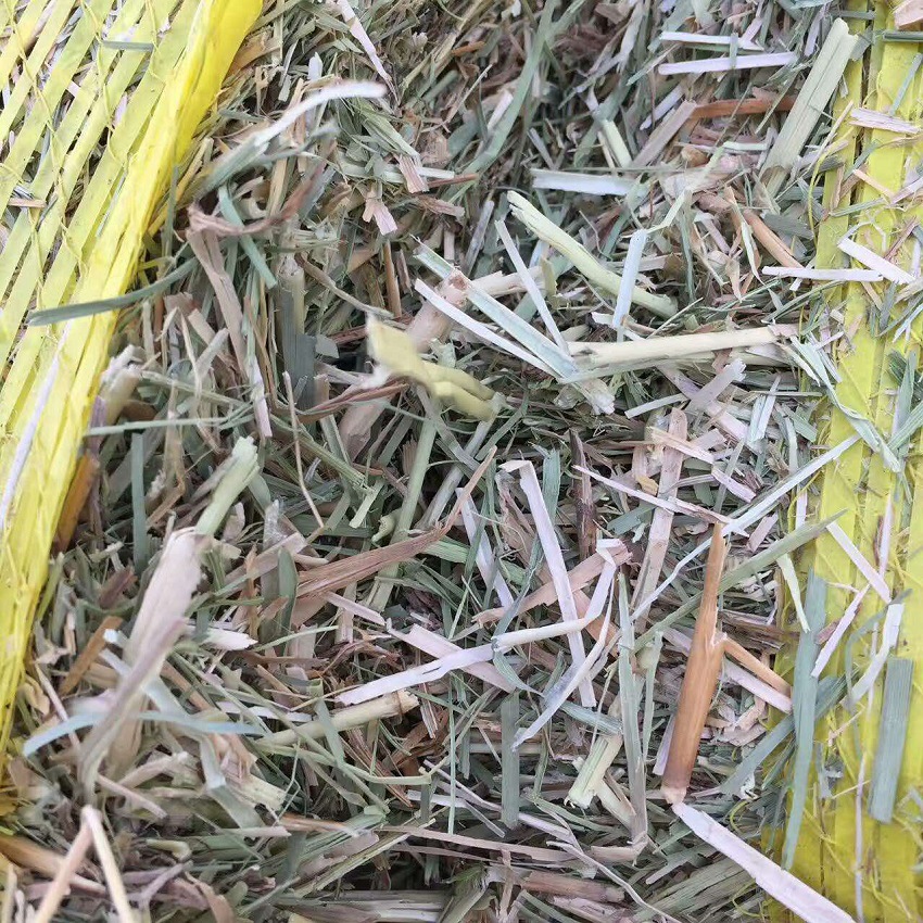 青干草大量供应青干草羊草青储草牛场马场专用牧草厂家直供