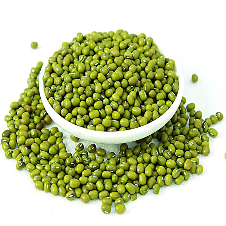 专业中药材批发 绿豆 绿豆粉 源头药材供应 量大优惠