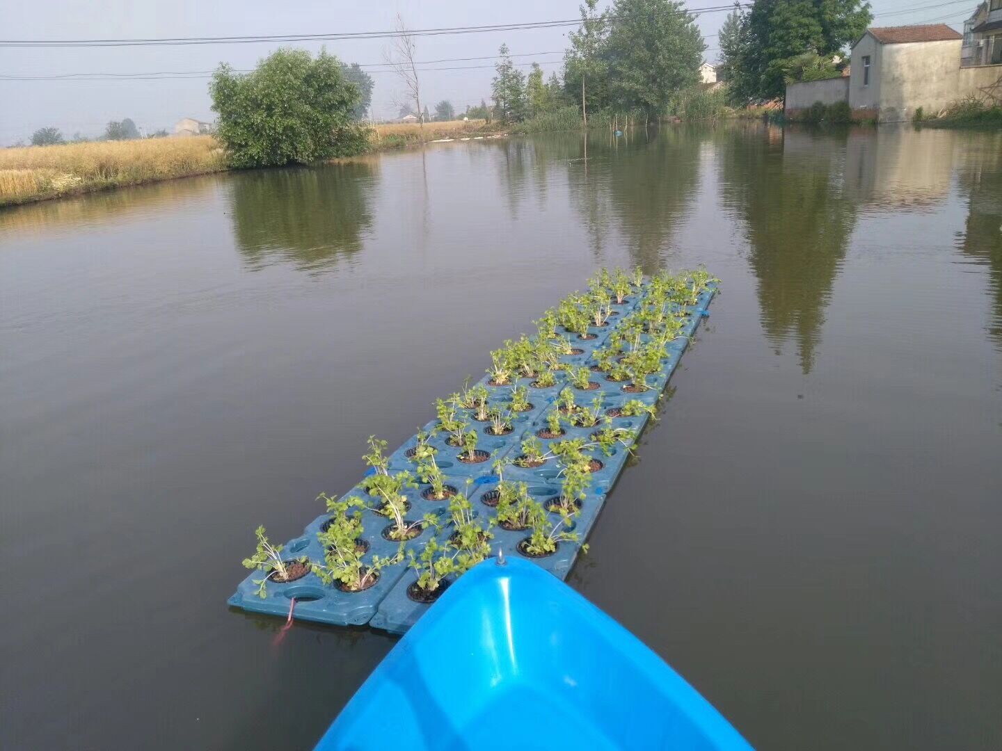 生态浮岛人工生态浮岛 水上植物浮床 水上植物种植浮岛