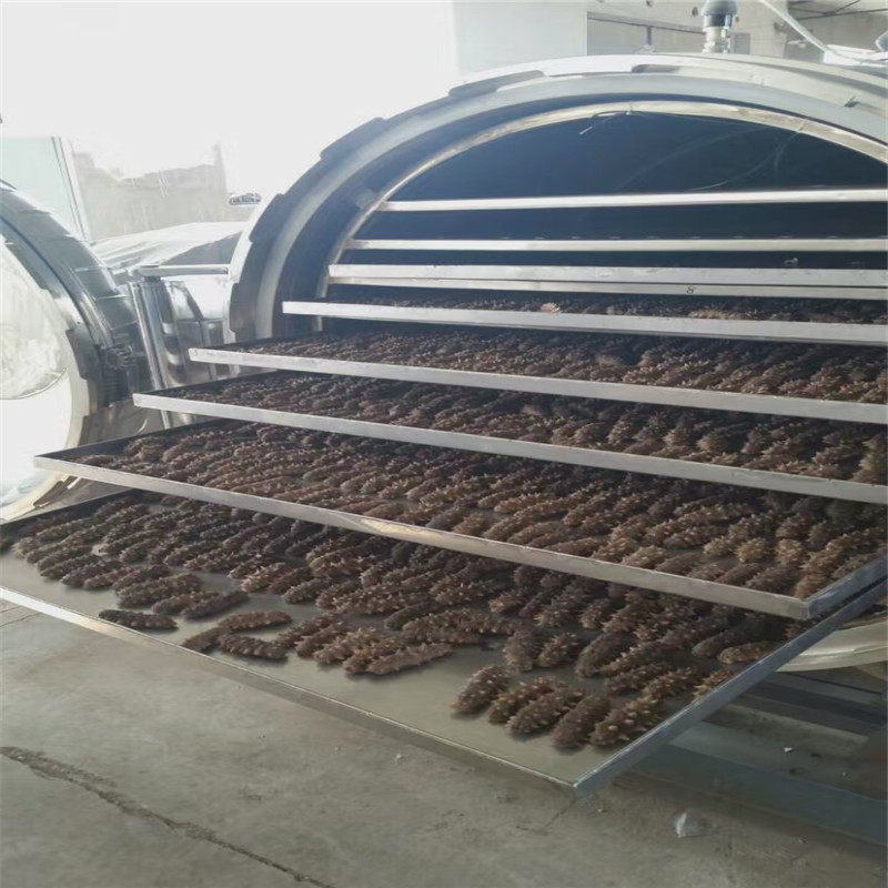 冻干机生产厂家海参真空冻干机全自动控制航空食品专用冻干机