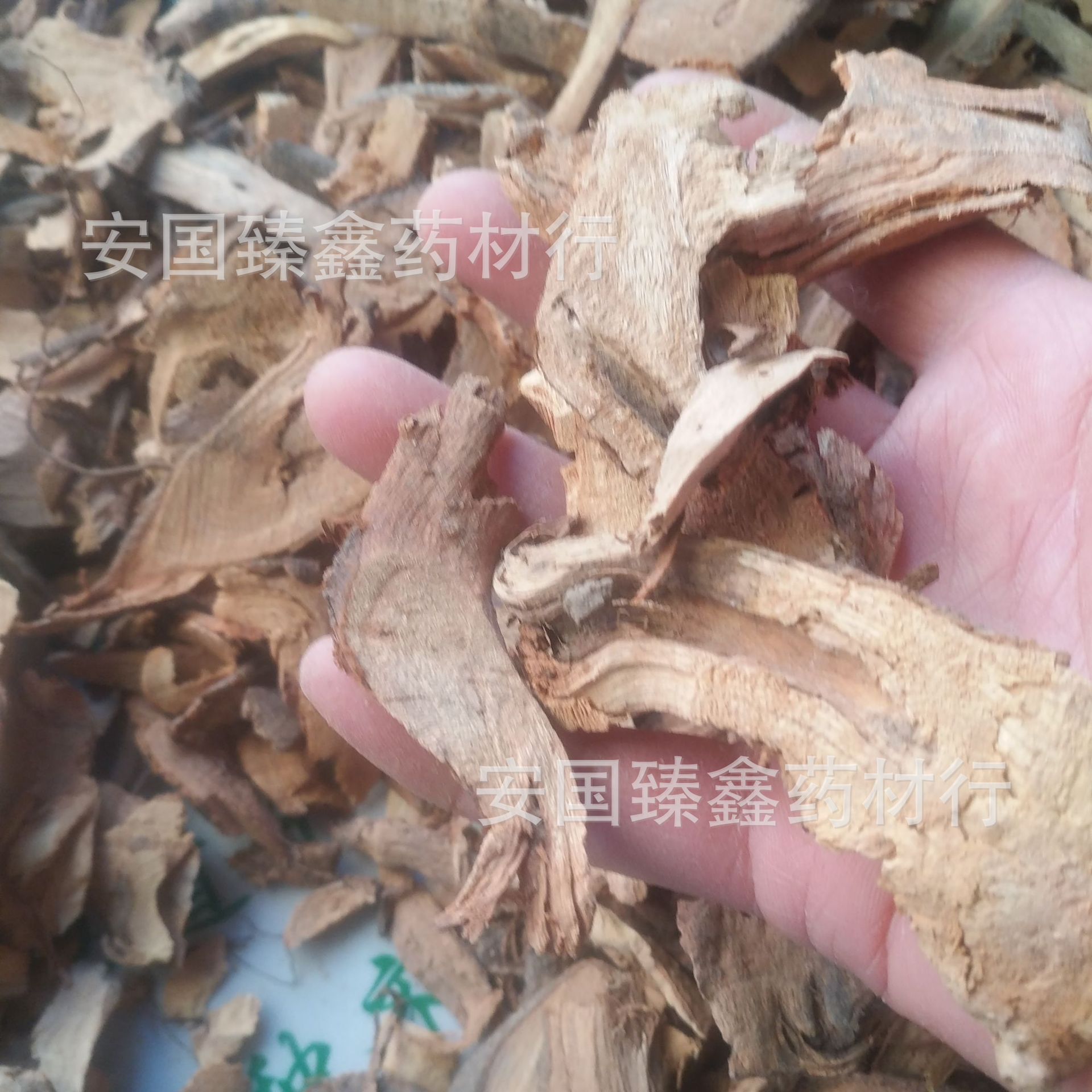 批发中药材苎麻根 抽根苎麻头 萱麻根 新货无硫