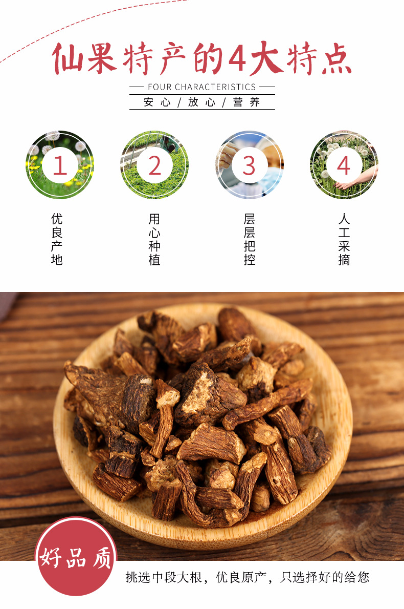 蒲公英根茶 婆婆丁根 长白山蒲公英根养生茶 蒲公英 东北特.