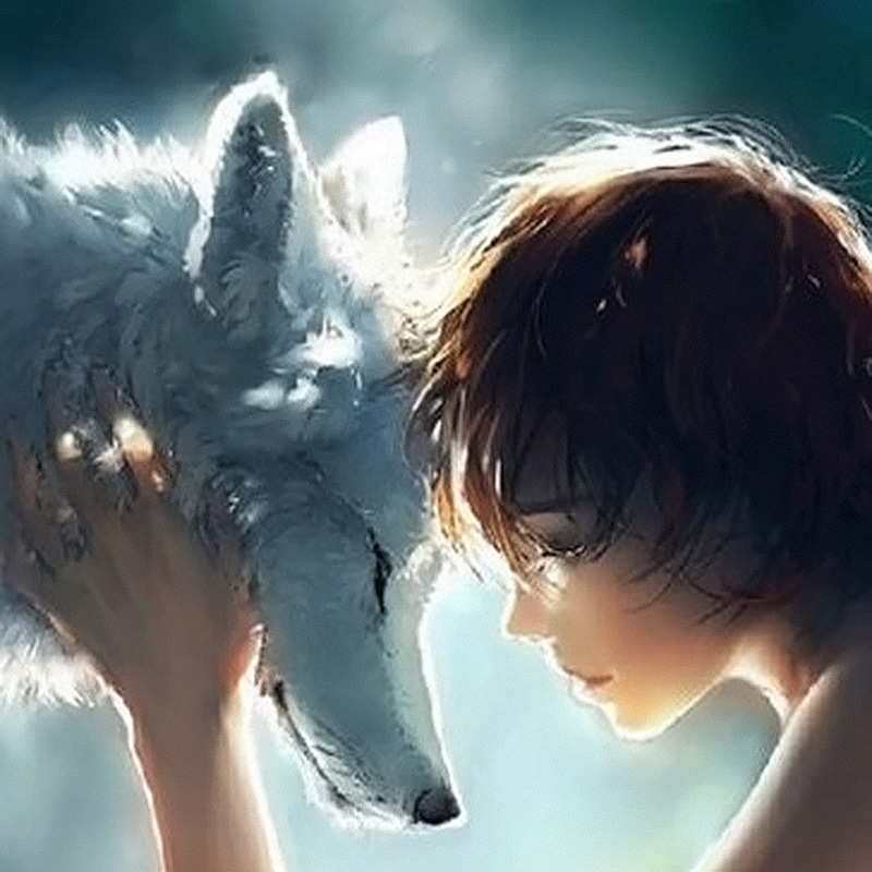 diy钻石画满钻 新款美女与狼 钻石绣 速卖通wish亚马逊货源批发