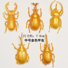 仿真甲虫模型金色甲壳虫装饰道具画框装饰品金甲虫玩具独角仙昆虫
