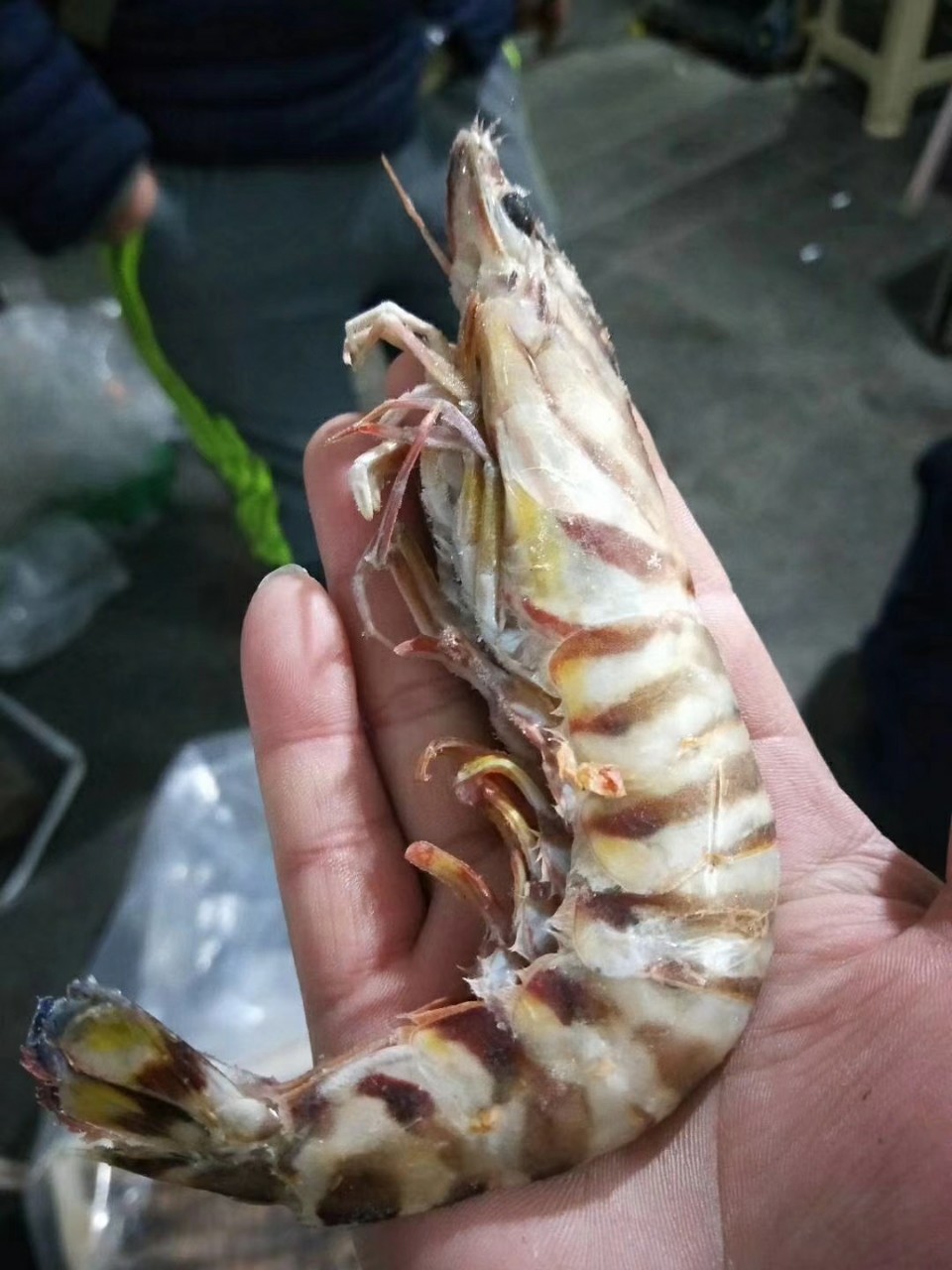 批发供应高档冷冻进口莫桑比克斑节虎虾海捕大对虾微商海鲜货源一