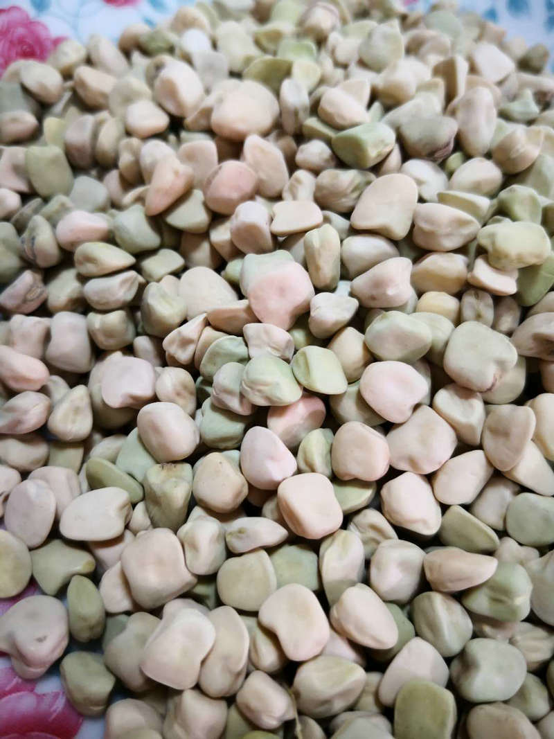 产地直销生苗豆芽苗菜种子 一级生鹰嘴马芽豆 三棱豌豆三角豆