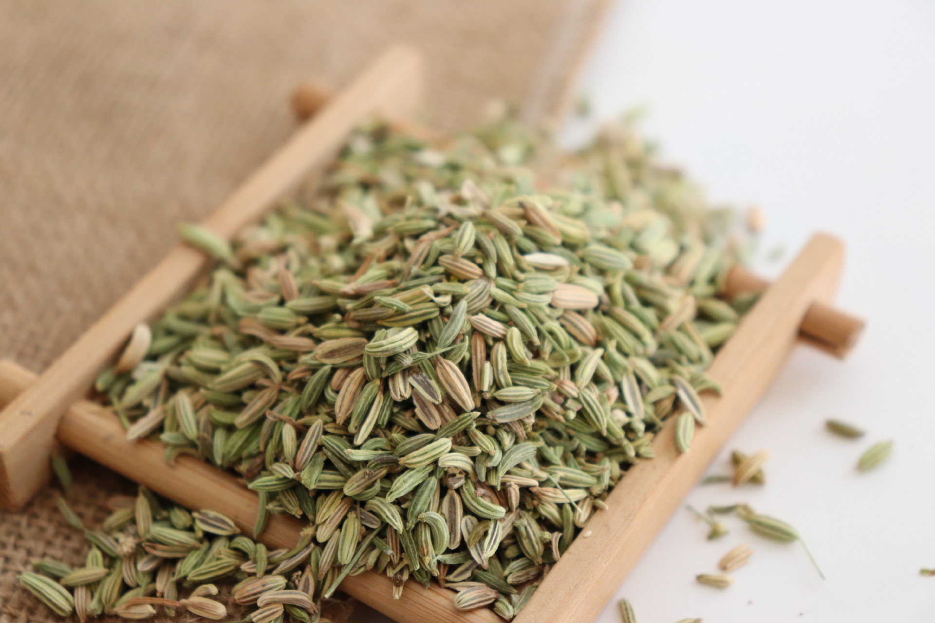 批发优质小茴香 川菜烧烤火锅底现磨茴香粉餐饮调味品香辛料