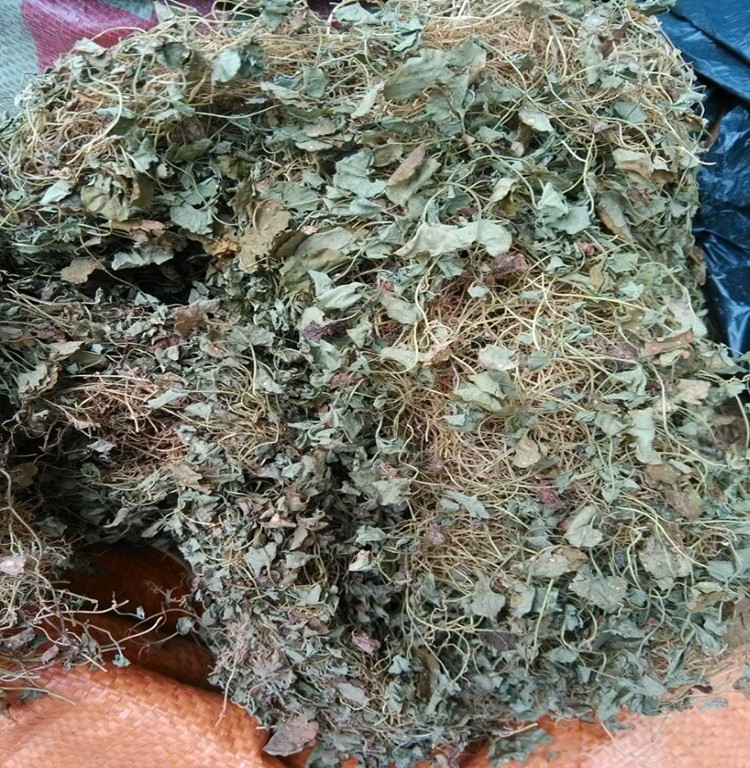 中药材批发 野生马蹄金 新货正品马蹄金天然无硫马蹄金一公斤包邮