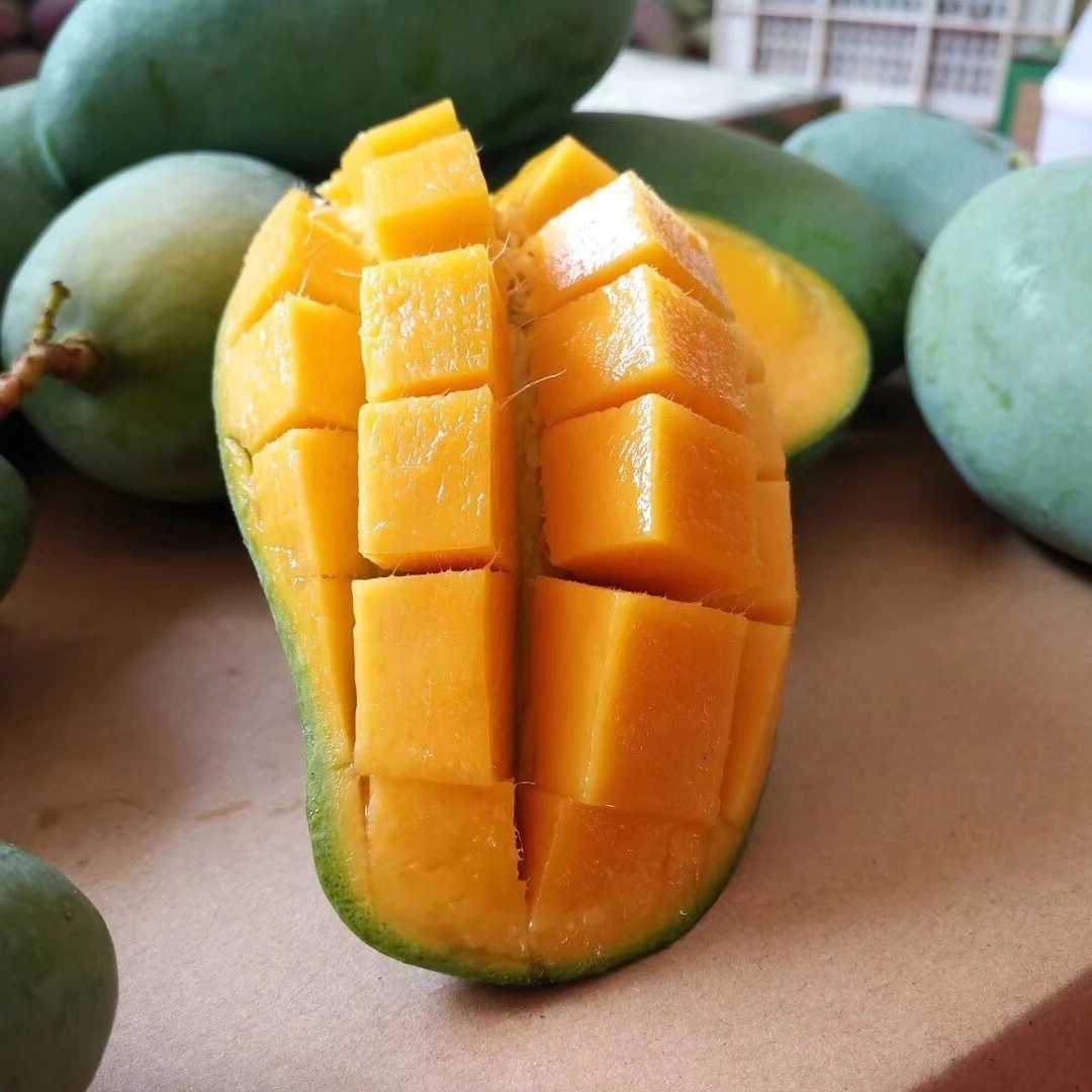 广西桂七芒果10斤装新鲜水果现摘非台农贵妃甜心凯特青芒一件代发